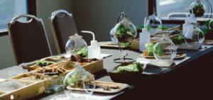 Terrarium Workshop - 9X GARDEN x Palazzo