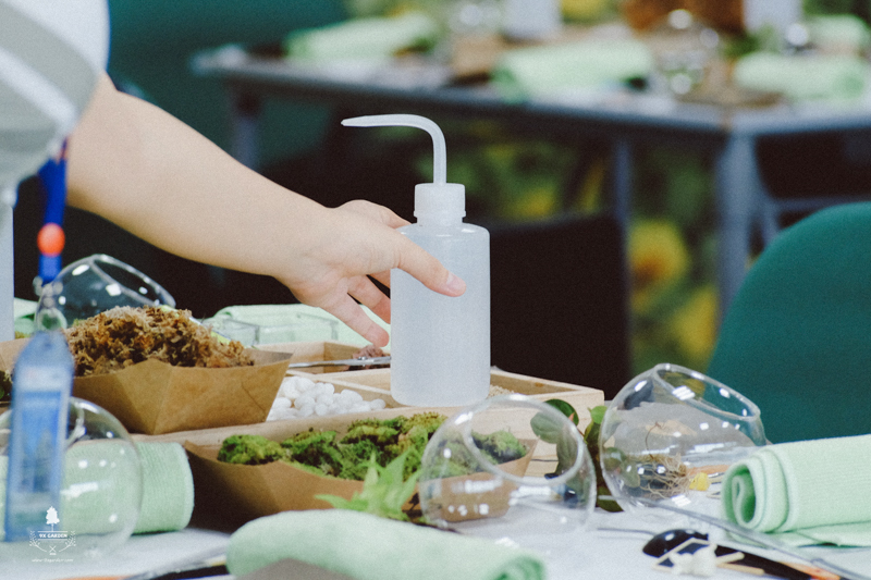 Terrarium Workshop - 9X GARDEN x TH true milk
