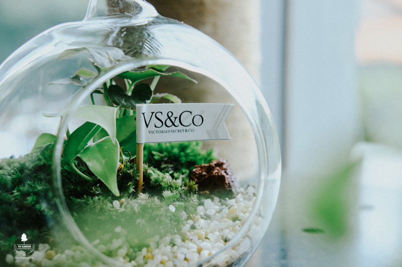 Terrarium Workshop - 9X GARDEN x VS&Co