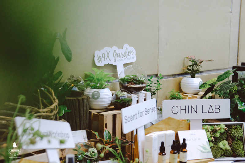Terrarium Workshop - 9X GARDEN x VS&Co