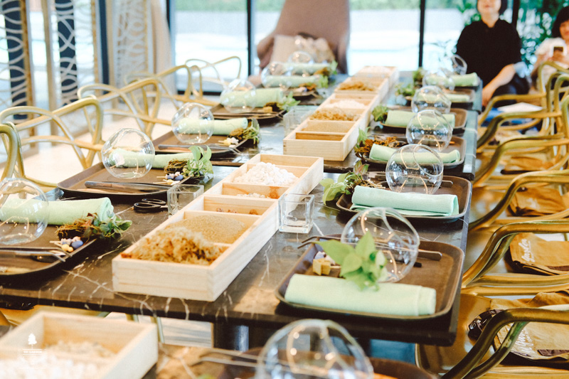 Nhật Ký Terrarium Workshop | 9X GARDEN x Walmart Sourcing Terrarium Workshop - 9X GARDEN x Walmart Sourcing