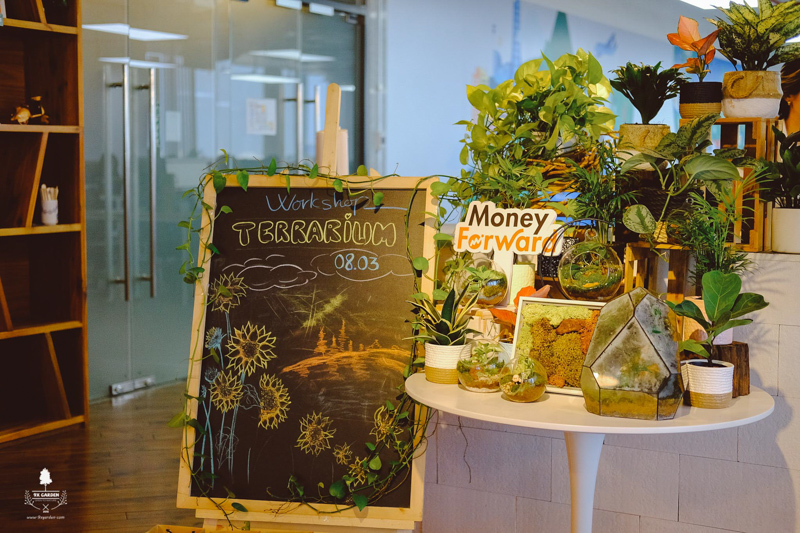Terrarium Workshop - 9X GARDEN x Money Forward Việt Nam