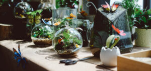 Terrarium Workshop nest by AIA Landmark 81