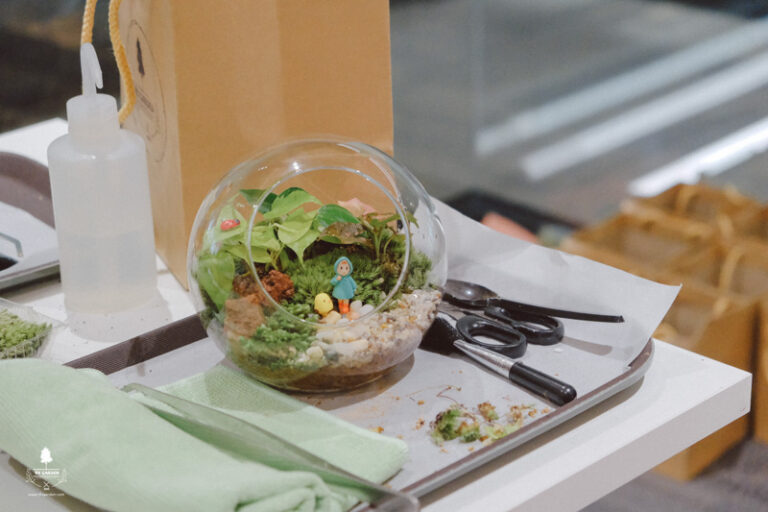 Terrarium Workshop - 9X GARDEN x SKY MAVIS