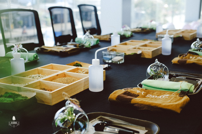 Terrarium Workshop - 9X GARDEN x BMW Vĩnh Long