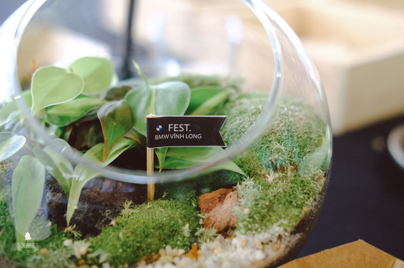Terrarium Workshop - 9X GARDEN x BMW Vĩnh Long