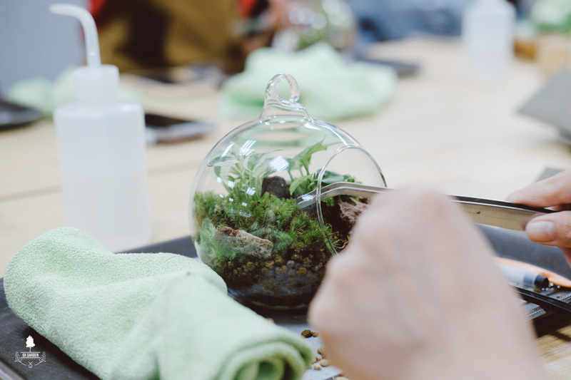 Terrarium Workshop - 9X GARDEN x DKSH Office team