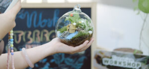 Terrarium Workshop - 9X GARDEN x DKSH Office team