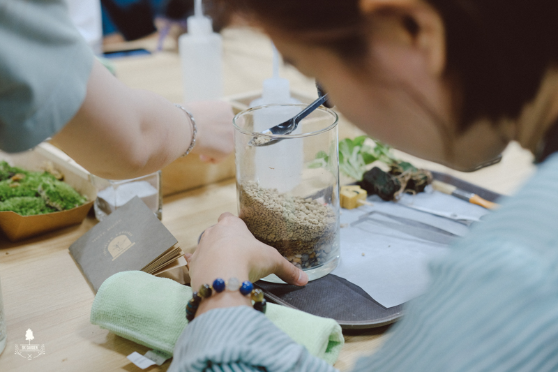 Nhật Ký Terrarium Workshop | 9X GARDEN x DKSH Finance Team Terrarium Workshop - 9X GARDEN x DKSH Finance team