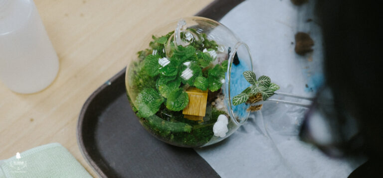 Terrarium Workshop - 9X GARDEN x DKSH Finance team