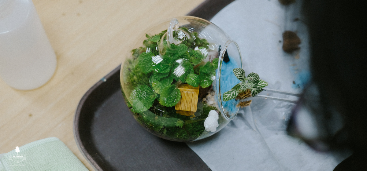 Nhật Ký Terrarium Workshop | 9X GARDEN x DKSH Finance Team Terrarium Workshop - 9X GARDEN x DKSH Finance team