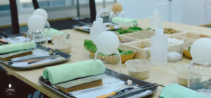 Terrarium Workshop - 9X GARDEN x DKSH Leader team