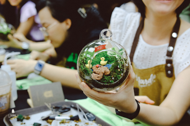 terrarium-workshop-trong-cay-9x-garden-mgf-sourcing-15-1.jpg