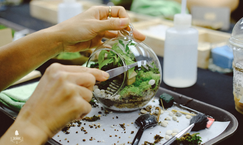 terrarium-workshop-trong-cay-9x-garden-mgf-sourcing-27-1.jpg