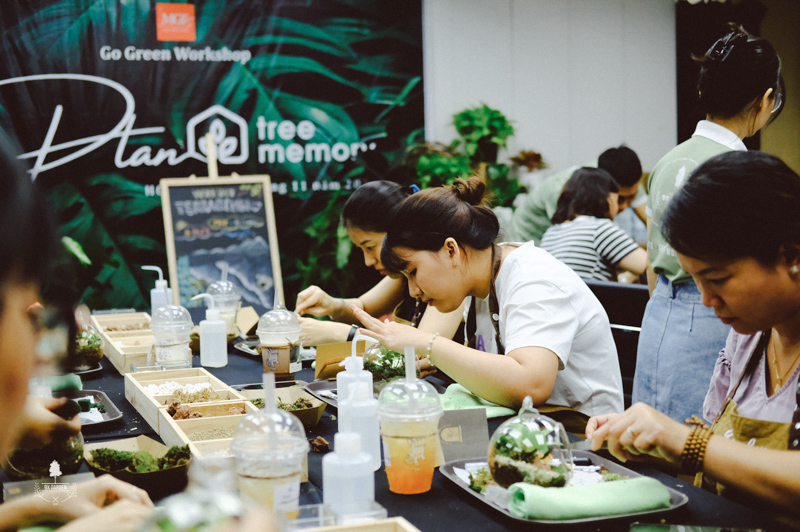 terrarium-workshop-trong-cay-9x-garden-mgf-sourcing-29-1.jpg