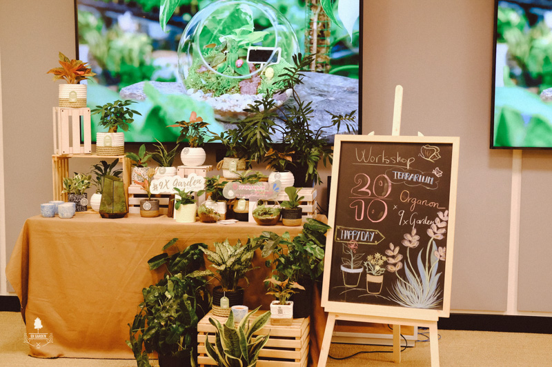 Nhật Ký Terrarium Workshop | 9X GARDEN x Organon Terrarium Workshop - 9X GARDEN x Organon