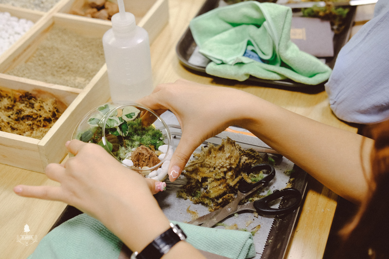 Nhật Ký Terrarium Workshop | 9X GARDEN x Organon Terrarium Workshop - 9X GARDEN x Organon