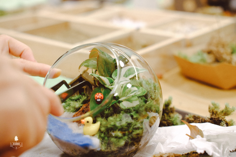 Nhật Ký Terrarium Workshop | 9X GARDEN x Organon Terrarium Workshop - 9X GARDEN x Organon