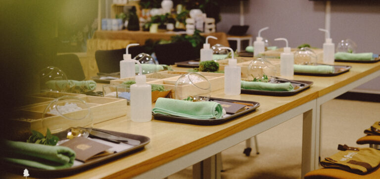 Terrarium Workshop - 9X GARDEN x Organon