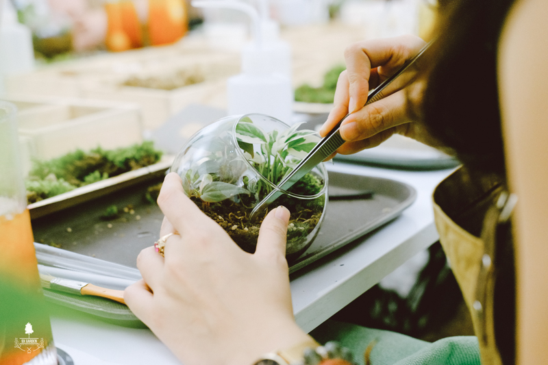 Terrarium Workshop - 9X GARDEN x CREASIA