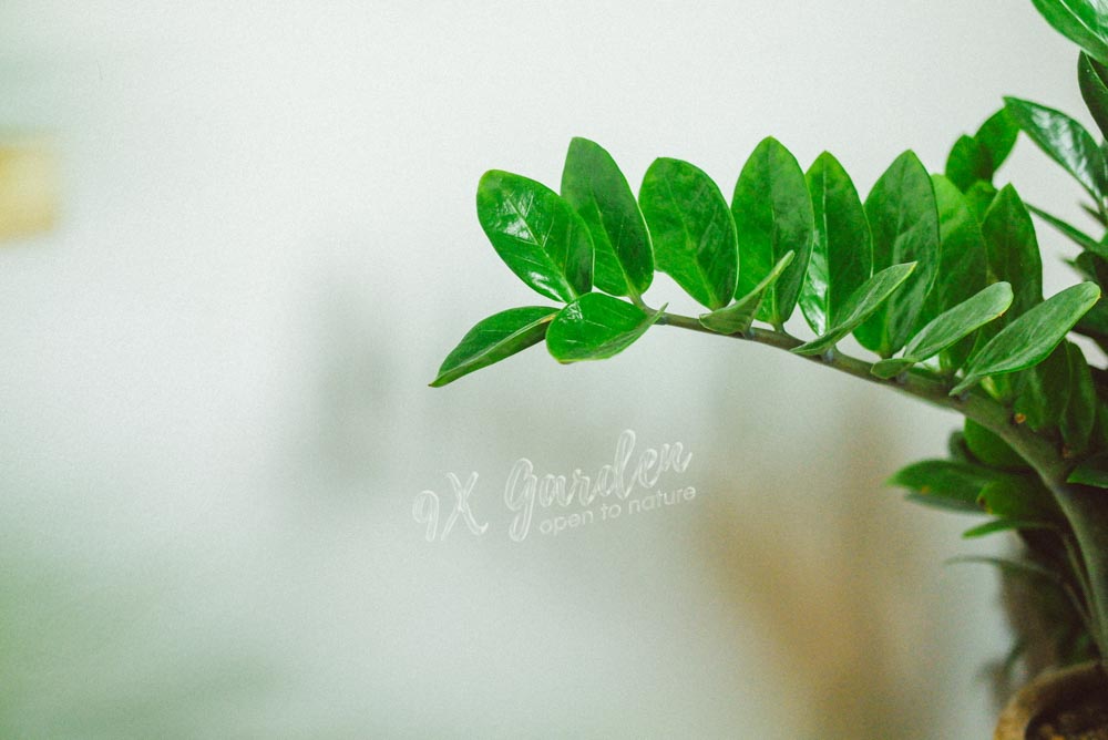 Tìm hiểu về ánh sáng cho người mới bắt đầu- 9X