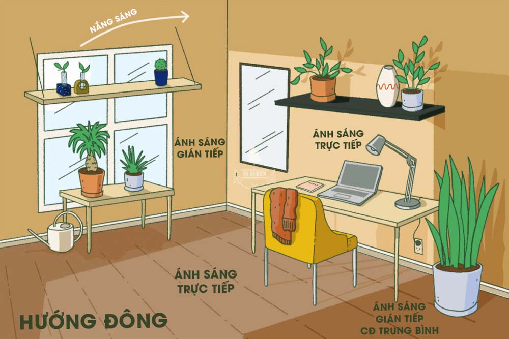 Tìm hiểu về ánh sáng cho người mới bắt đầu- 9X