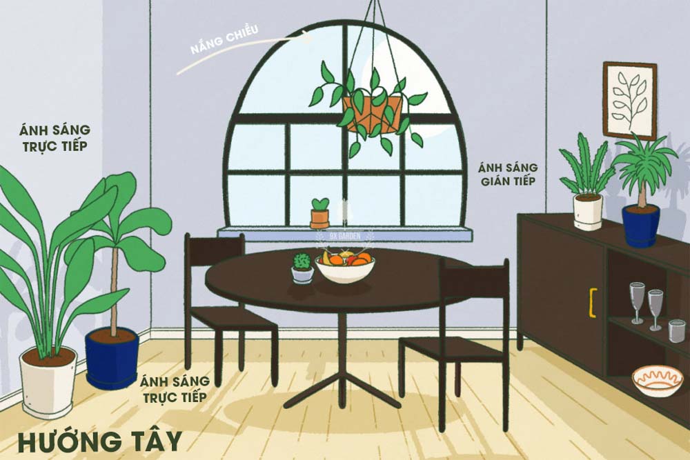 Tìm hiểu về ánh sáng cho người mới bắt đầu- 9X