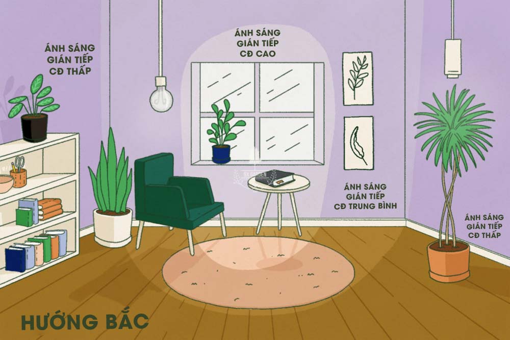 Tìm hiểu về ánh sáng cho người mới bắt đầu- 9X