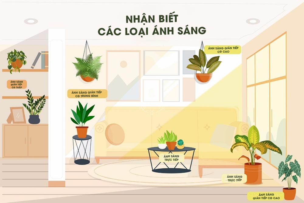 Tìm hiểu về ánh sáng cho người mới bắt đầu- 9X