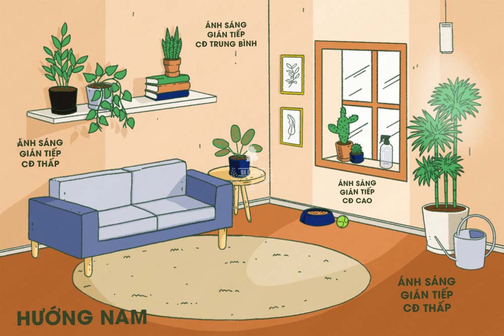 Tìm hiểu về ánh sáng cho người mới bắt đầu- 9X
