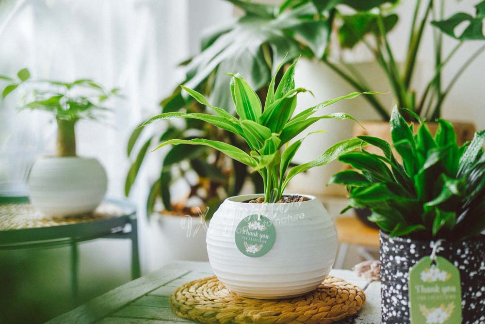 Tìm hiểu về ánh sáng cho người mới bắt đầu- 9X