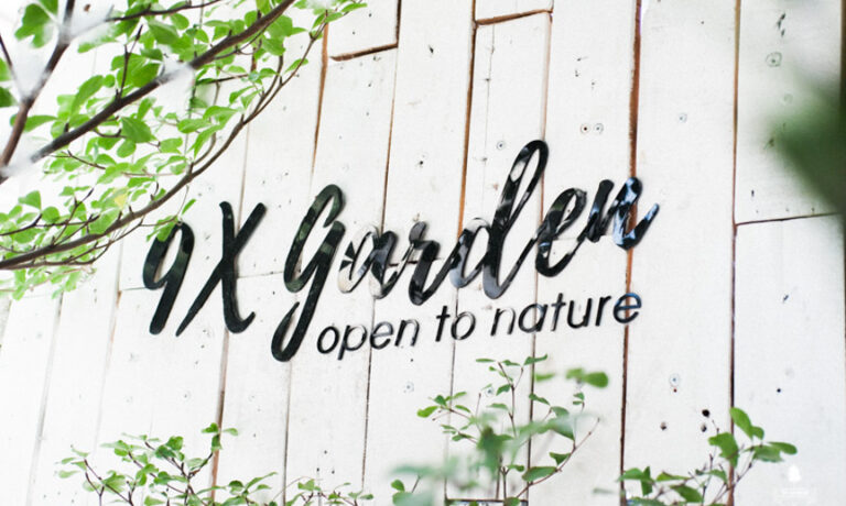 Top cửa hàng cây cảnh uy tín- 9X GARDEN