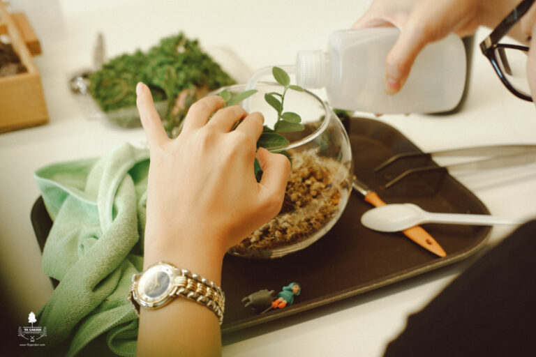 Nhật ký TERRARIUM WORKSHOP | 9X GARDEN x KEPPEL LAND - 9X GAR