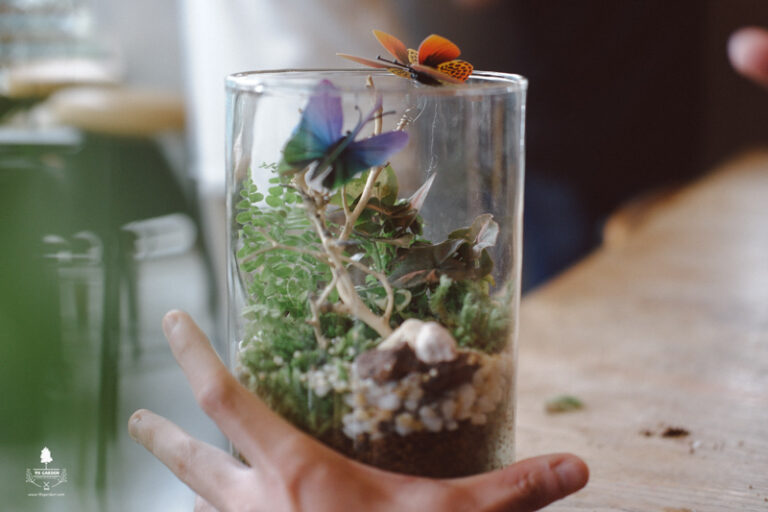 Terrarium Workshop | 9X GARDEN x Nest by AIA