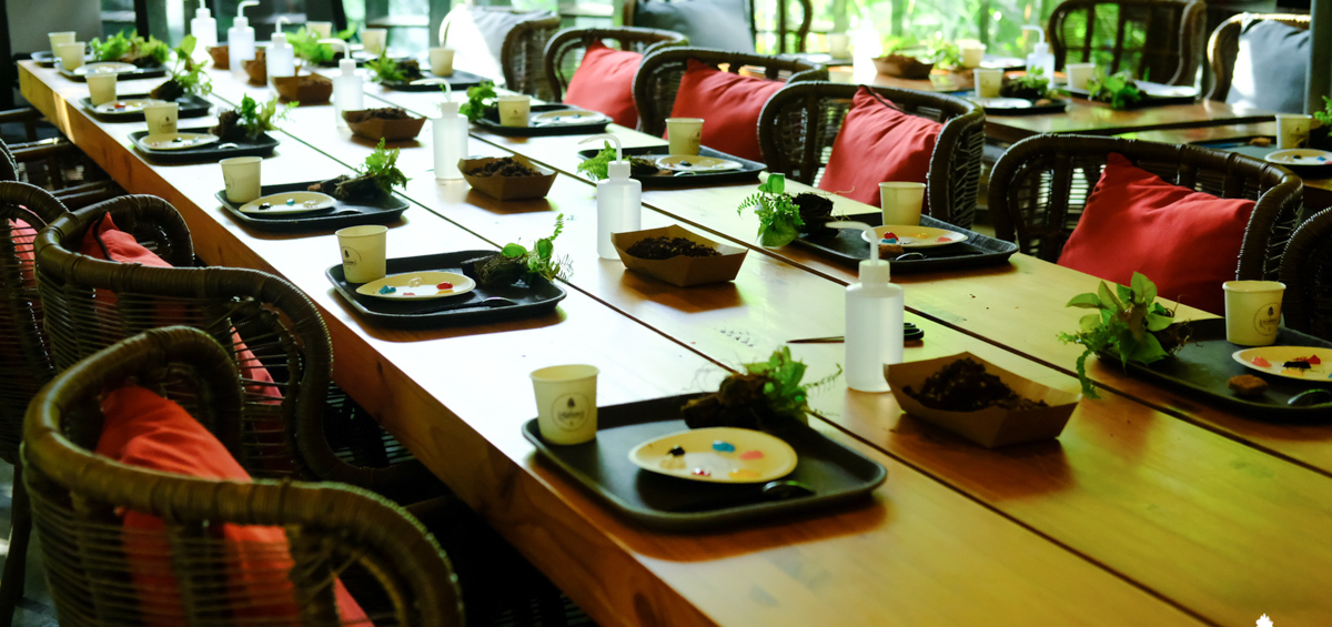 Nhật Ký Pot Painting Workshop | 9X GARDEN x INSEE Pot Painting Workshop - 9X GARDEN x INSEE