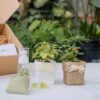 Gift Box - TOKI Suko