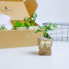 Gift Box - TOKI Suko