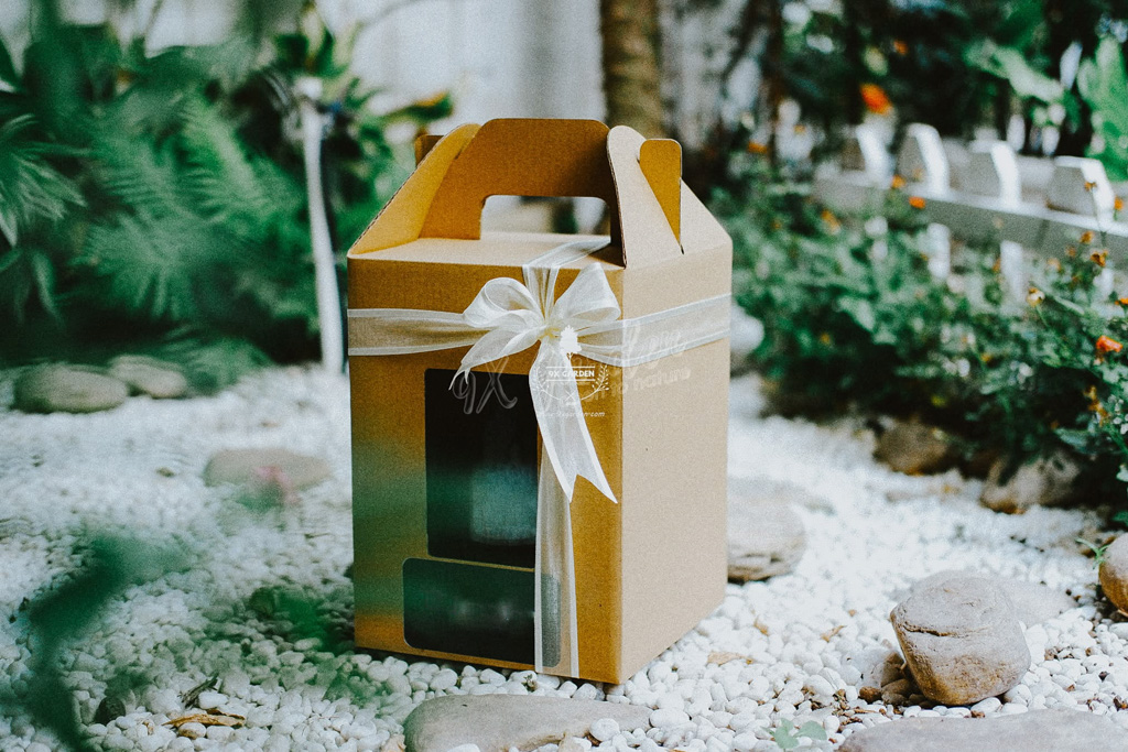 Bí Quyết Chọn Quà Tặng Xanh Dành Cho Phái Nữ Bí Quyết Chọn Quà Tặng Xanh Dành Cho Phái Nữ | 9X GARDEN
