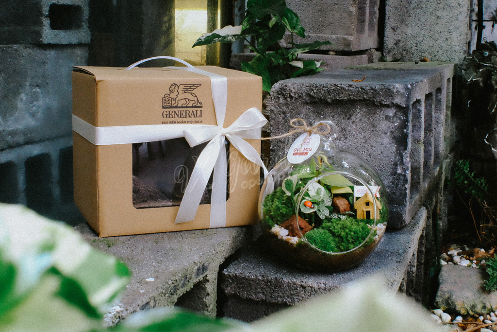 Bí Quyết Chọn Quà Tặng Xanh Dành Cho Phái Nữ Bí Quyết Chọn Quà Tặng Xanh Dành Cho Phái Nữ | 9X GARDEN