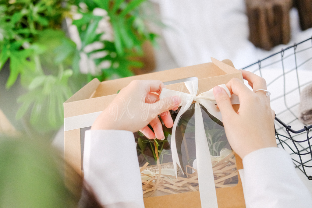 Bí Quyết Chọn Quà Tặng Xanh Dành Cho Phái Nữ | 9X GARDEN